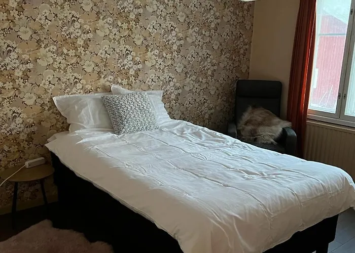 Beautiful Big With Spectacular Meteor Site View